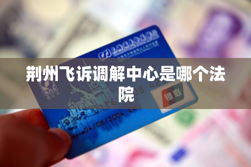 荆州飞诉调解中心是哪个法院