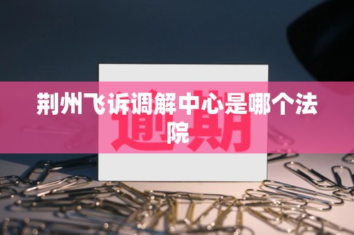荆州飞诉调解中心是哪个法院