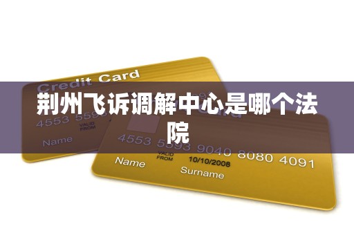 荆州飞诉调解中心是哪个法院