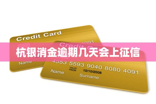 杭银消金逾期几天会上征信