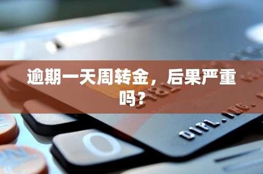 逾期一天周转金,后果严重吗?