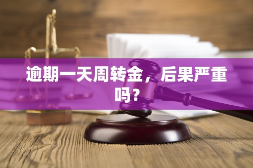 逾期一天周转金,后果严重吗?