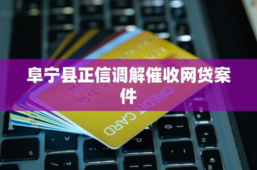 阜宁县正信调解催收网贷案件