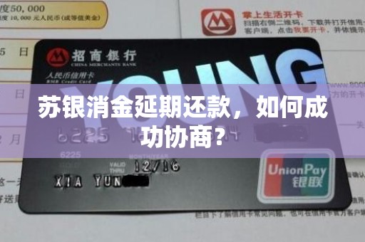 苏银消金延期还款,如何成功协商?