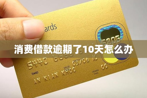 消费借款逾期了10天怎么办