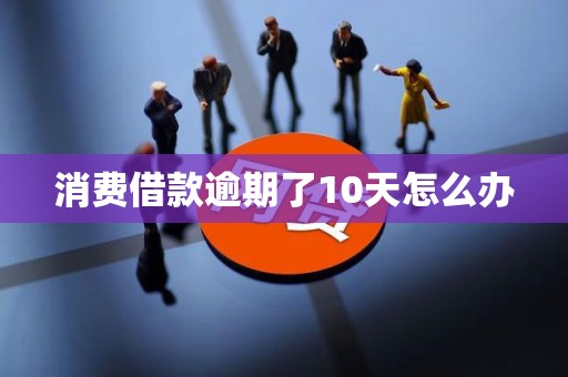 消费借款逾期了10天怎么办