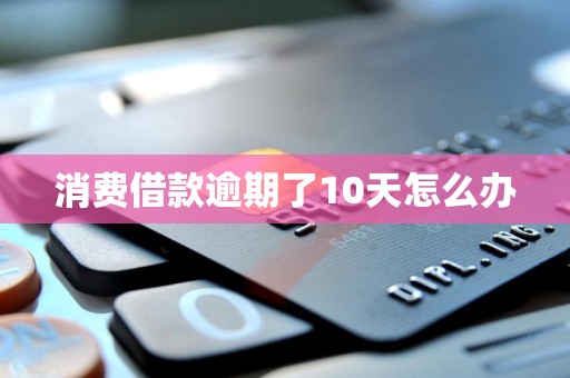 消费借款逾期了10天怎么办