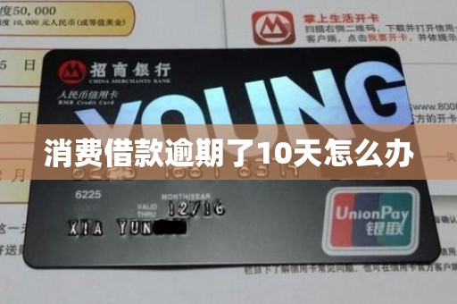 消费借款逾期了10天怎么办