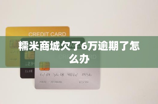 糯米商城欠了6万逾期了怎么办