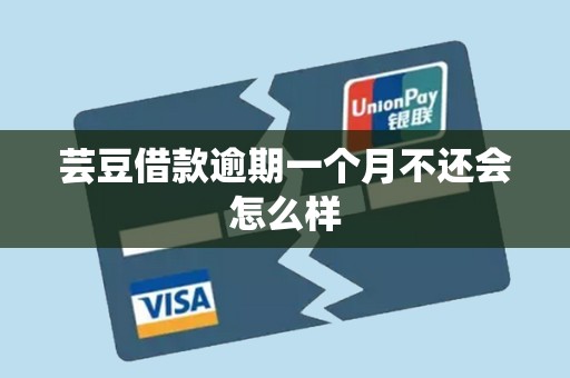 芸豆借款逾期一个月不还会怎么样