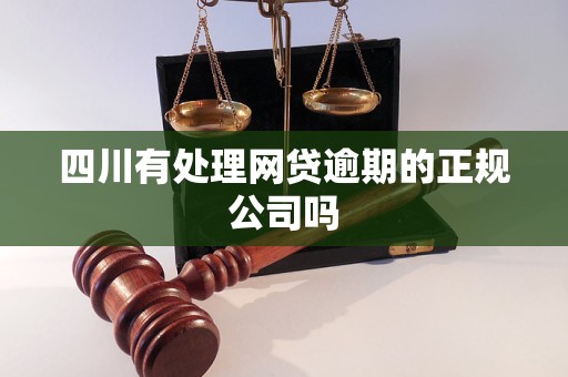 四川有处理网贷逾期的正规公司吗