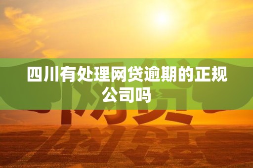 四川有处理网贷逾期的正规公司吗