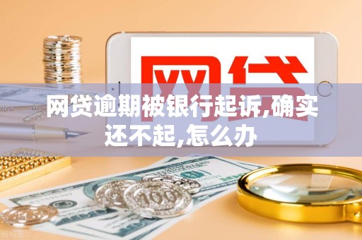 网贷逾期被银行起诉,确实还不起,怎么办