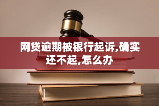 网贷逾期被银行起诉,确实还不起,怎么办