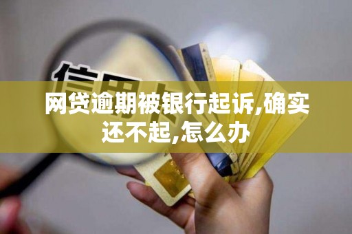 网贷逾期被银行起诉,确实还不起,怎么办