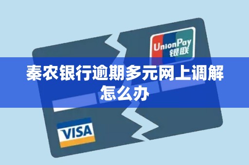 秦农银行逾期多元网上调解怎么办