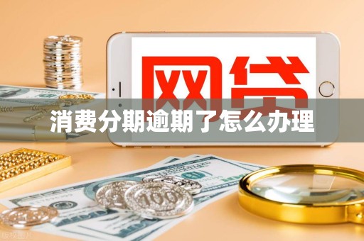 消费分期逾期了怎么办理