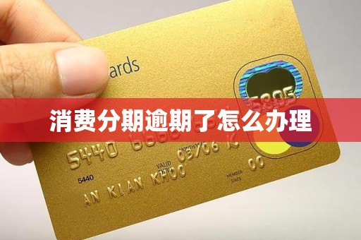 消费分期逾期了怎么办理