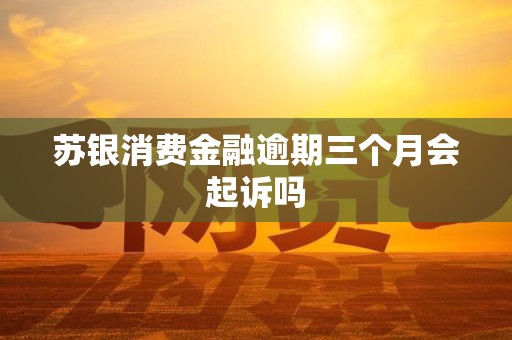 苏银消费金融逾期三个月会起诉吗