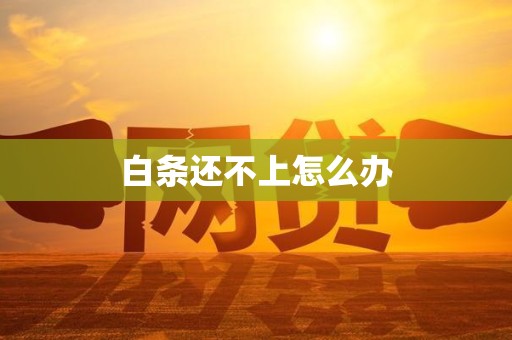 白条还不上怎么办