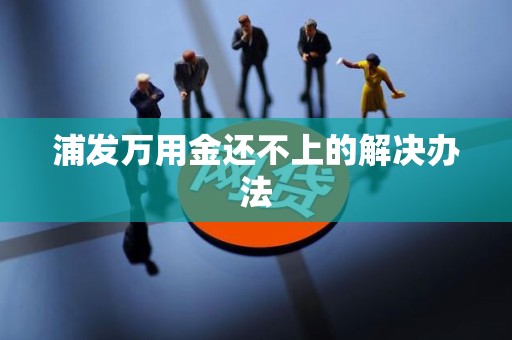 浦发万用金还不上的解决办法