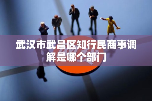 武汉市武昌区知行民商事调解是哪个部门