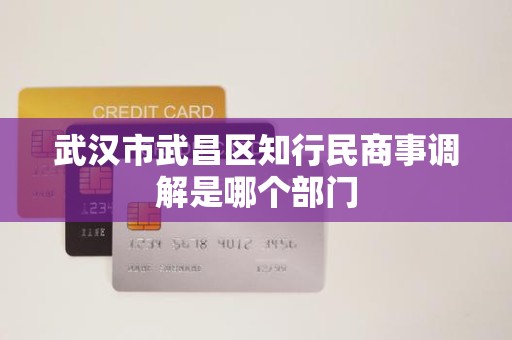 武汉市武昌区知行民商事调解是哪个部门