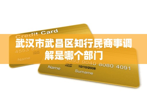 武汉市武昌区知行民商事调解是哪个部门