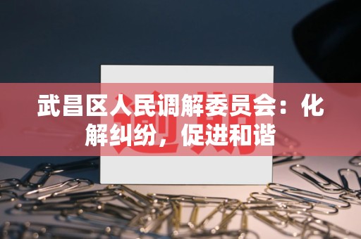 武昌区人民调解委员会:化解纠纷,促进和谐