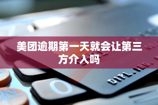 美团逾期第一天就会让第三方介入吗