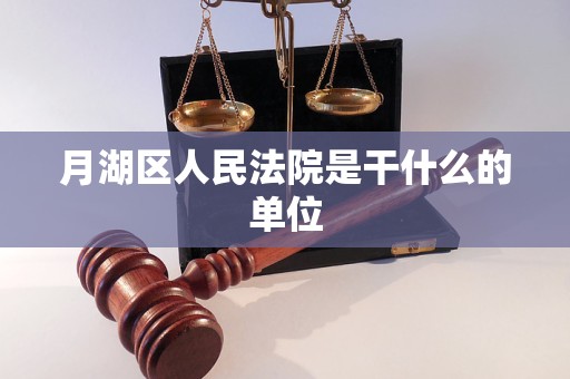 月湖区人民法院是干什么的单位