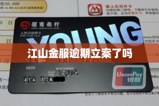 江山金服逾期立案了吗
