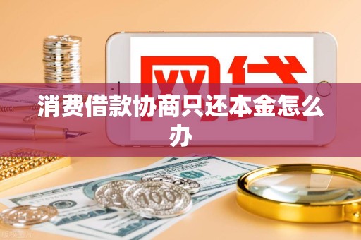 消费借款协商只还本金怎么办