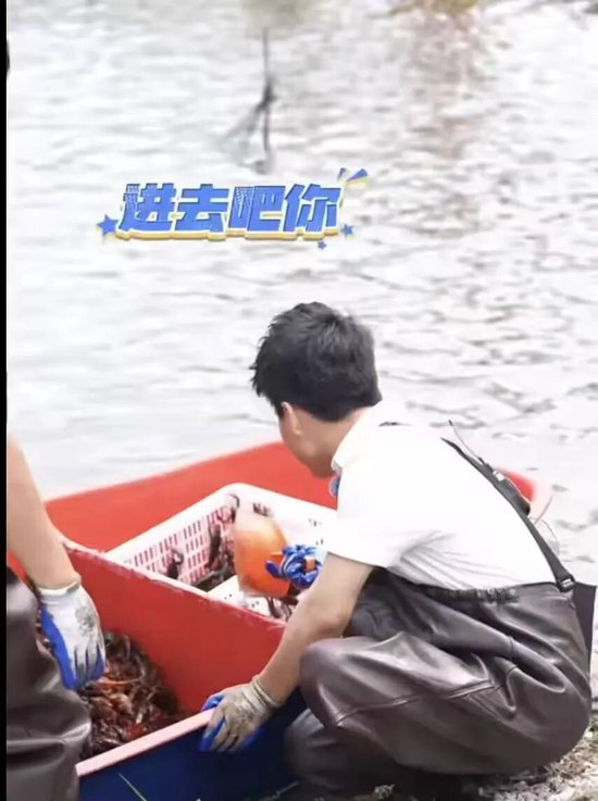 董宇辉:商业的终点是人心 价值比价格更动人