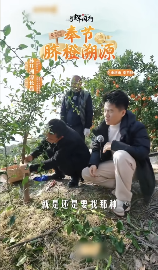 董宇辉:商业的终点是人心 价值比价格更动人
