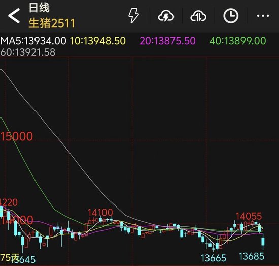美联储，突传重磅！特朗普发声！生猪价格缘何回落？