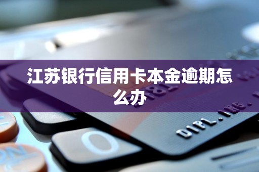 江苏银行信用卡本金逾期怎么办