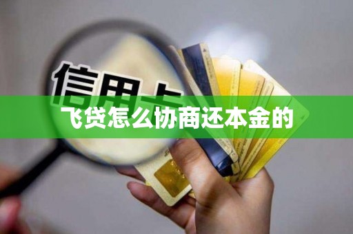 飞贷怎么协商还本金的