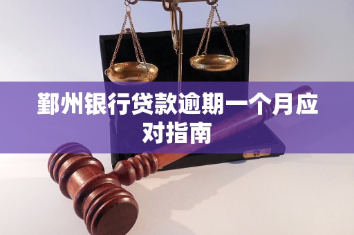 详细阅读:鄞州银行贷款逾期一个月应对指南 鄞州银行贷款逾期一个月应对指南