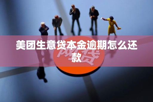 美团生意贷本金逾期怎么还款
