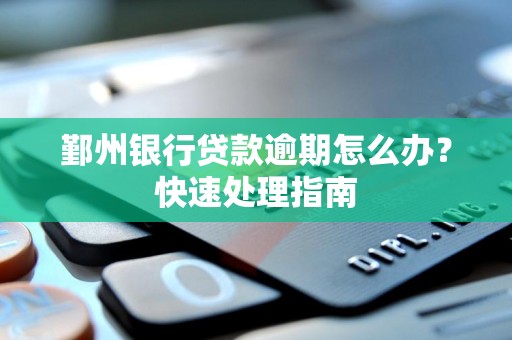 鄞州银行贷款逾期怎么办?快速处理指南