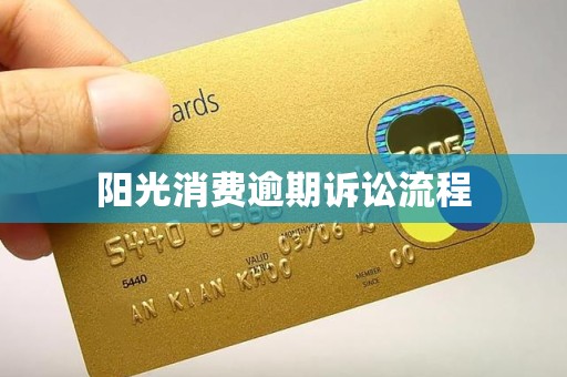 阳光消费逾期诉讼流程