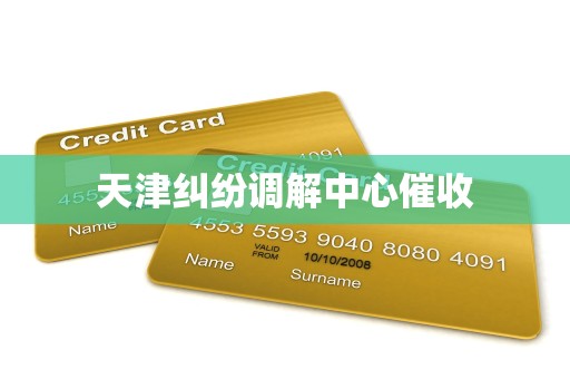 天津纠纷调解中心催收