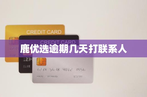 鹿优选逾期几天打联系人