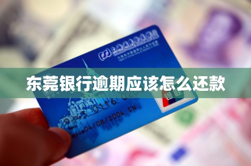 东莞银行逾期应该怎么还款