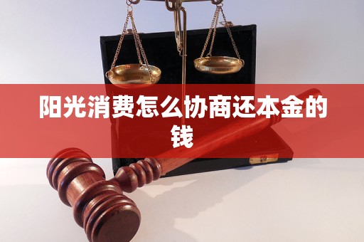 阳光消费怎么协商还本金的钱