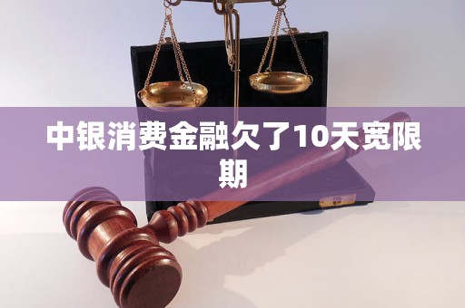 中银消费金融欠了10天宽限期
