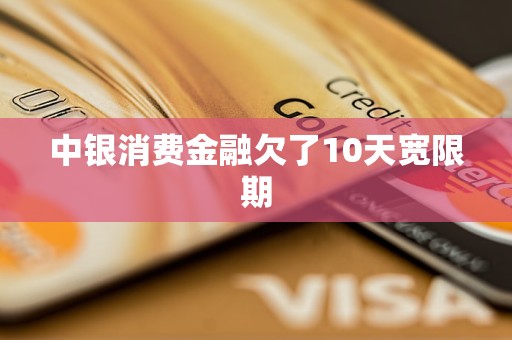中银消费金融欠了10天宽限期
