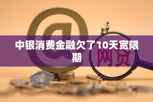 中银消费金融欠了10天宽限期