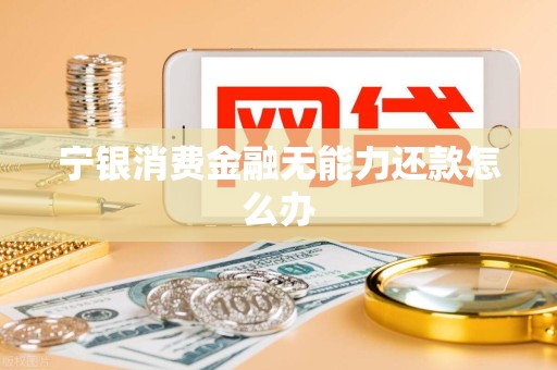 宁银消费金融无能力还款怎么办